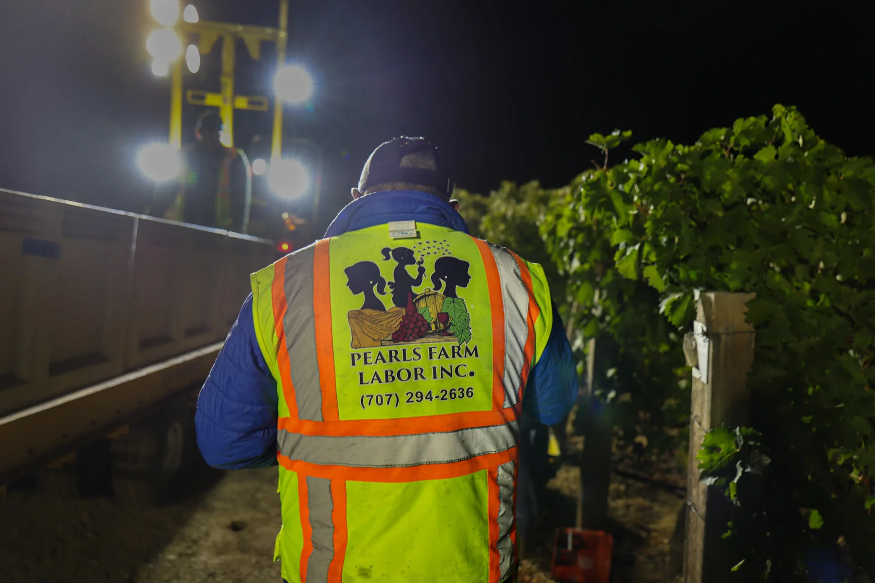 Back of a Pearls Farm Labor safety vest under work lights